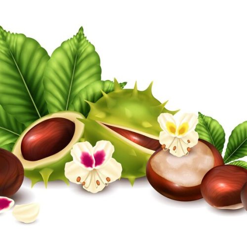 realistic-chestnut-composition-with-nut-seeds-leaves-vector-illustration_1284-82268